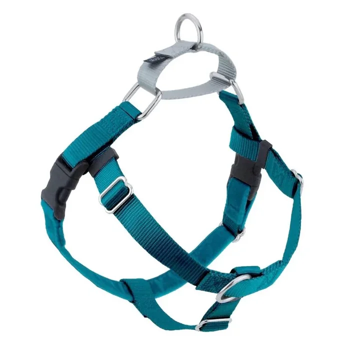 2 Hounds Design Freedom No-Pull Dog Harness – Large 1″ x 28-32″ – Teal