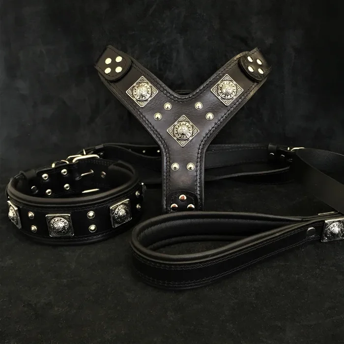 “EROS” BIG dog SET- Harness – collar – lead. All Black