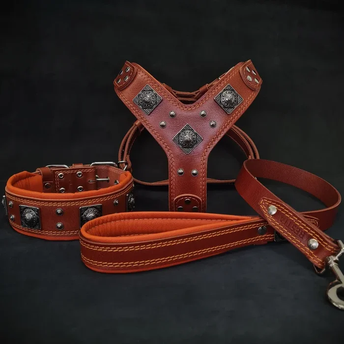 “EROS” BIG dog SET- Harness – collar – lead. Brown & Orange