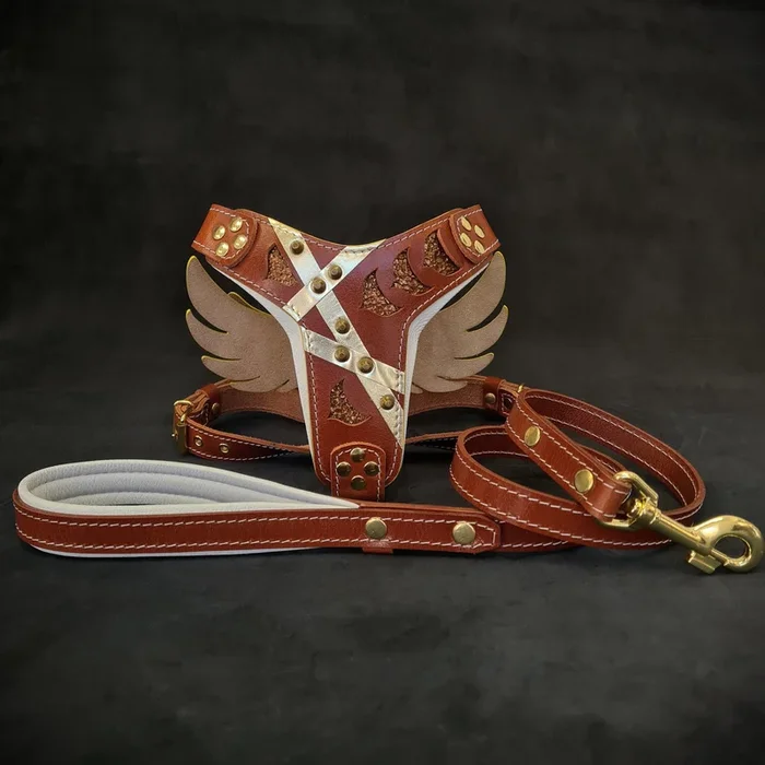 “Hermes” Set- harness & leash