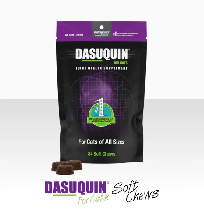 84ct Nutramax Dasuquin Soft Chew for Cats