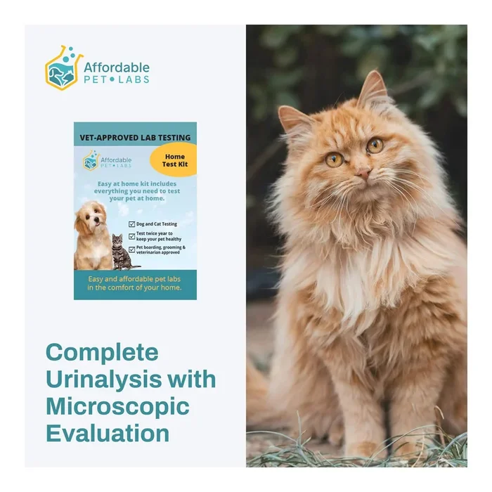 Affordable Pet Labs – Complete Urinalysis with Microscopic Evaluation For Cats, Easy Home Test Kit