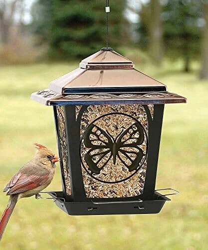 Audubon Hopper Style Wild Bird Feeder with Butterfly Design – Bronze – 3 Lbs Cap