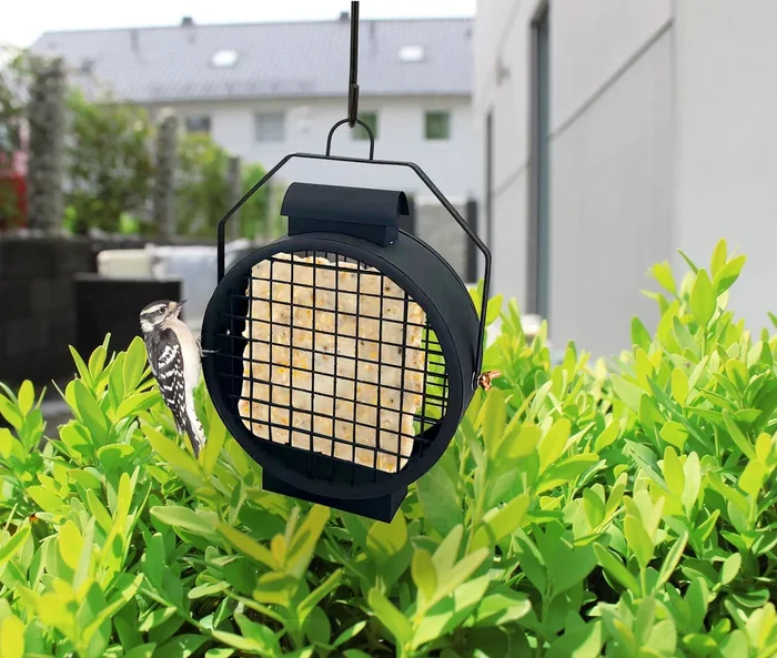 Audubon MF Lighthouse Lantern Suet Cake Wild Bird Feeder – Black – 1 Cake Cap