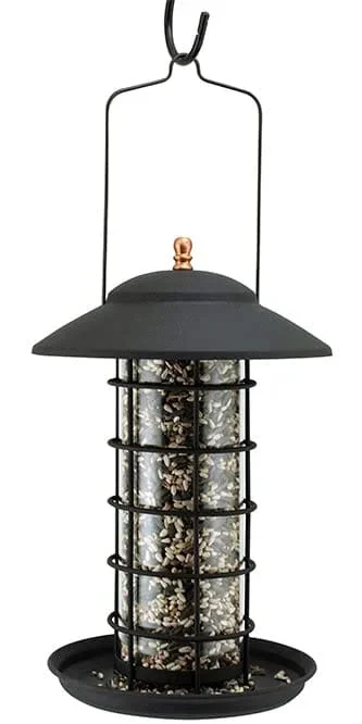 Audubon Modern Farmhouse Promotional Glass Tube Type Bird Feeder Mixed Seed – Black – 1.5 Lbs Cap