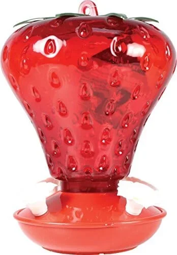 Audubon Strawberry Plastic Hummingbird Feeder – Red – 40 Oz Cap