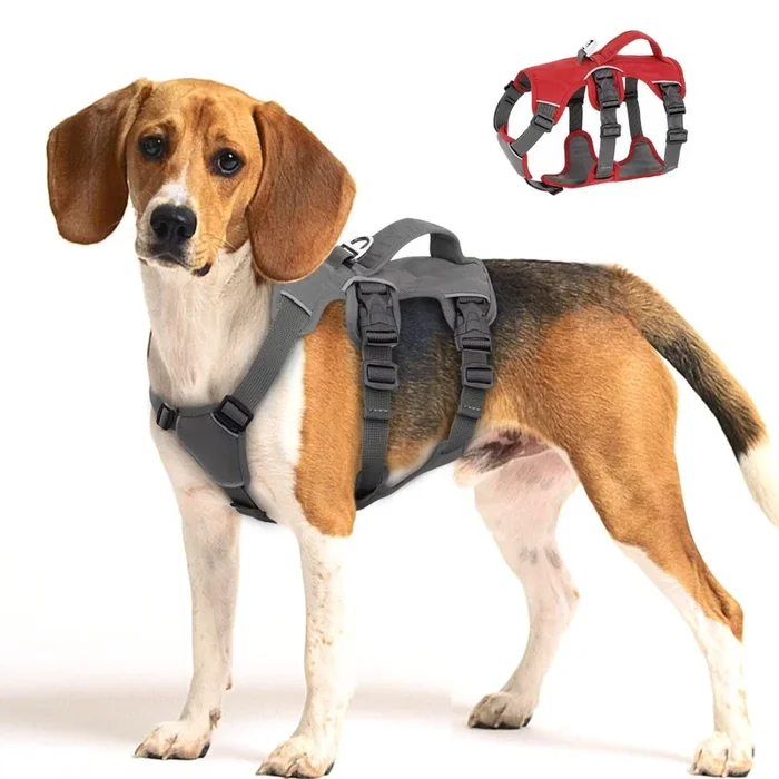 Beirui Escape Proof Dog Harness For Small Medium Large Dogs, Reflective Dog Harness No Pull With Padded Handle, Waterproof Dog Harness For Daily Walking Training (Gray,Chest 13-27”)