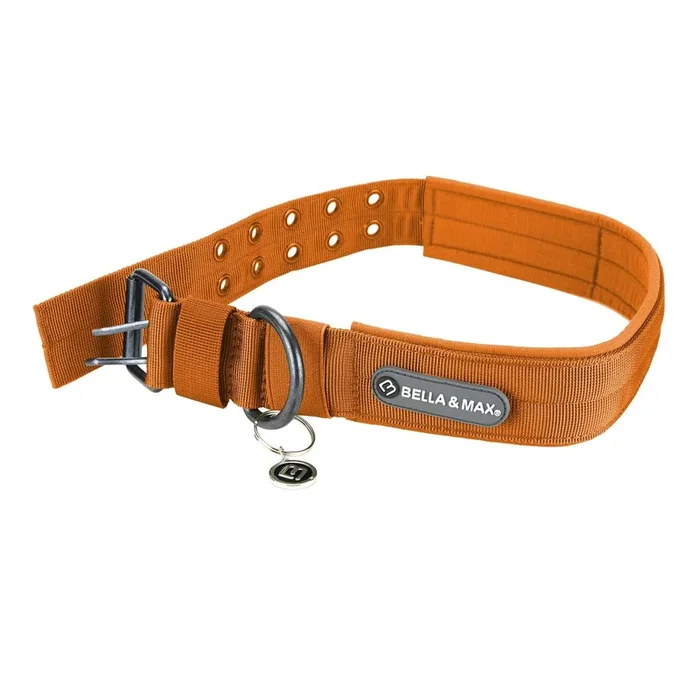 Bella and Max Heavy Adventure Dog Collar – Orange – Medium