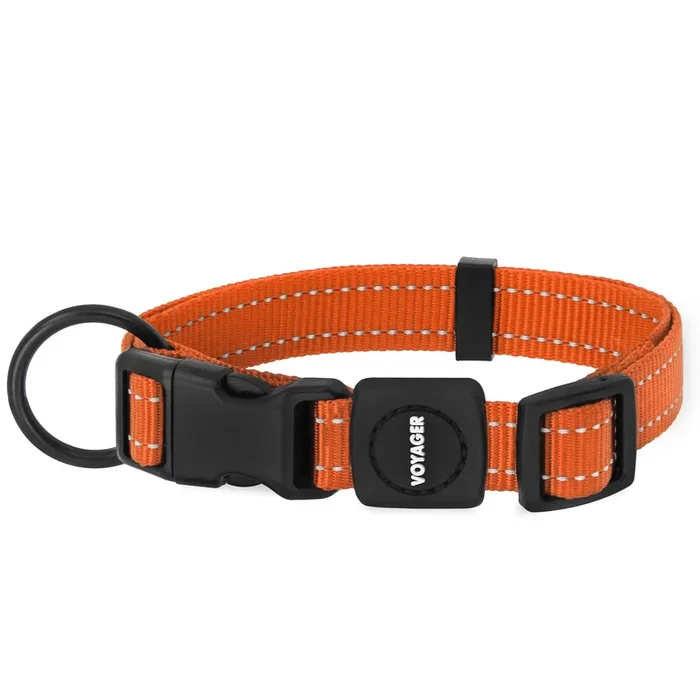 Best Pet Supplies Reflective Dog Collar With Adjustable Length, Heavy-Duty Buckle, And Strong Leash D-Ring, Training, Walking, Jogging Accessory For Small, Medium, And Large Breeds – Orange, S
