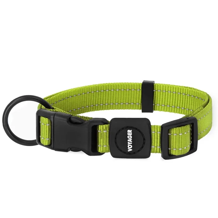 Best Pet Supplies Reflective Dog Collar With Adjustable Length, Heavy-Duty Buckle, And Strong Leash D-Ring, Training, Walking, Jogging Accessory For Small, Medium, And Large Breeds – Lime Green, L