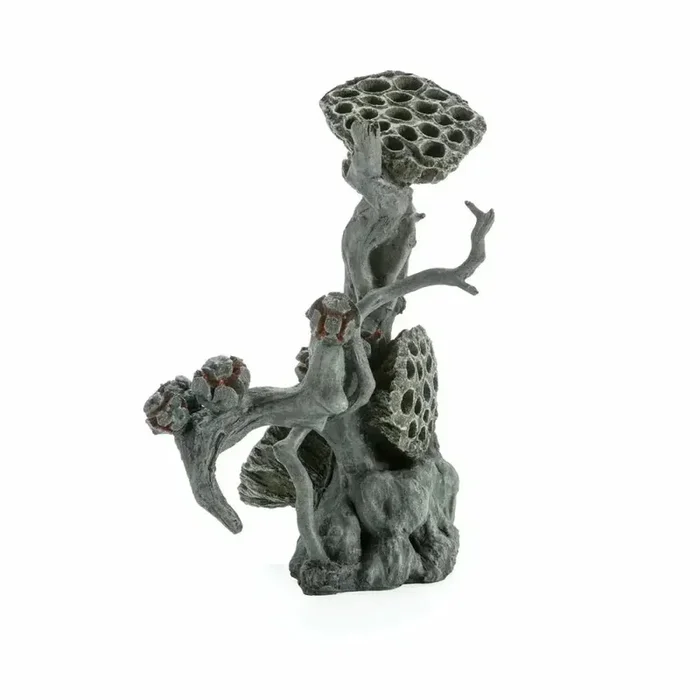 Biorb Earth Lotus Seedpod on Root Large Reptile Terrarium Ornament