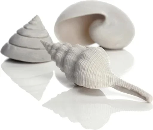 Biorb Sea Shell Aquarium Ornament – White – 3 Count