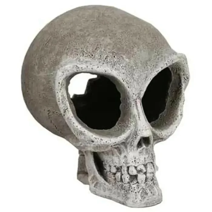 Blue Ribbon Resin Ornament Alien Skull Small