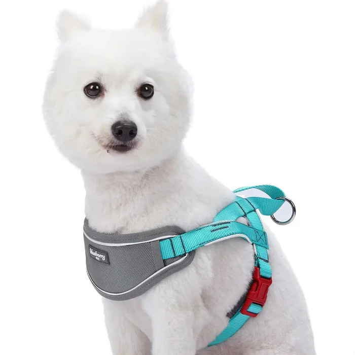 Blueberry Pet 8 Colors Soft & Comfy 3M Reflective Strips Padded Dog Harness Vest, Chest Girth 20.5′ – 26′, Lake Blue, Medium, Nylon Adjustable Training Harnesses For Dogs