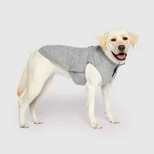Canada Pooch Waterproof Sweater, Gray, Size 26