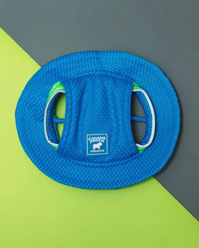 Chill Seeker Cooling Dog Hat