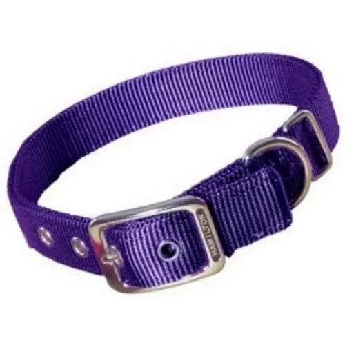 Collar Double Thick 1″ 20″ Purple 1 Each by Hamilton