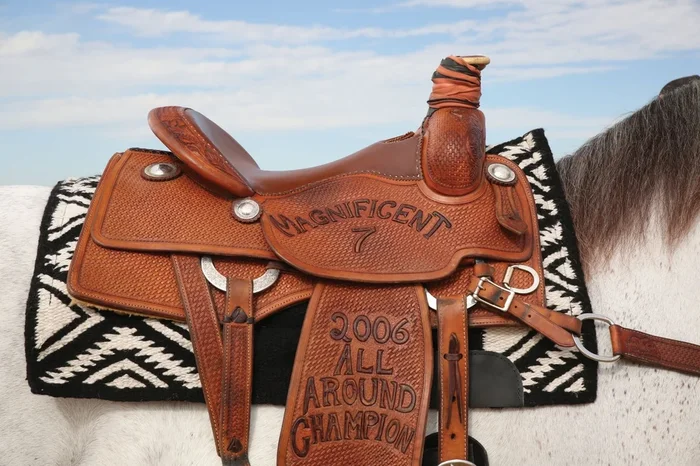 Comfort-fit SMx H.D. Air Ride “El Dorado” Saddle Pad