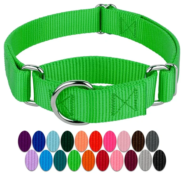 Country Brook Design – Hot Lime Green Martingale Heavy Duty Nylon Dog Collar – 21 Vibrant Color Options (3/4 Inch Width, Small)