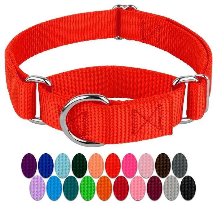 Country Brook Petz – Hot Orange Martingale Heavy Duty Nylon Dog Collar – 21 Vibrant Color Options (3/4 Inch Width, Small)