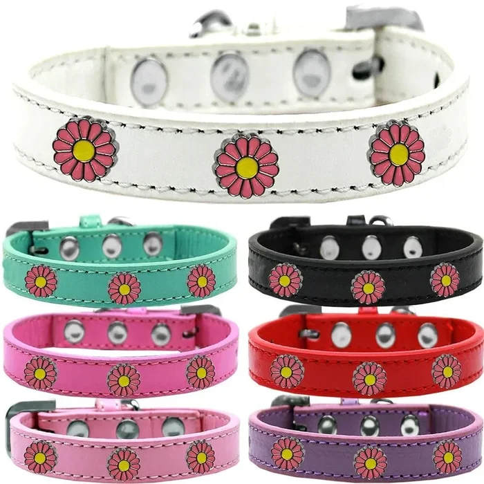 Dog, Puppy and Pet Widget Fashion Collar, “Pink Daisies” Aqua 16