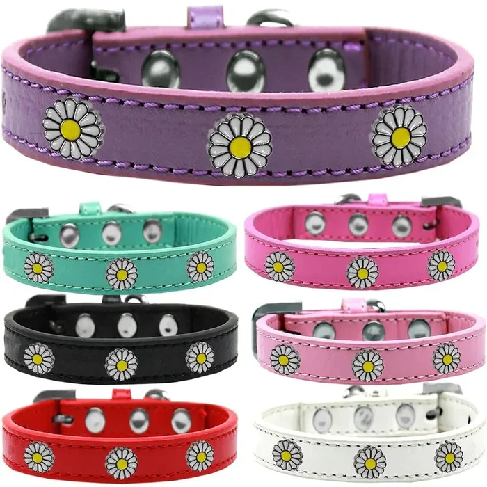 Dog, Puppy and Pet Widget Fashion Collar, “White Daisies” Aqua 18