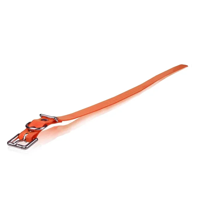 Dogtra Extra Dog Collar Strap 32 in.