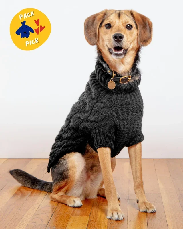 Downtown Roll Neck Dog Sweater in Black (FINAL SALE)