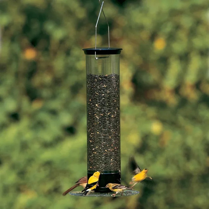 Droll Yankee Tipper Bird Feeder