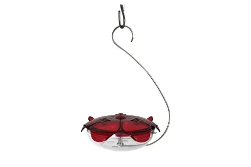 Droll Yankees Ruby Sipper Hanging Hummingbird Feeder – Red – 5 Oz Cap