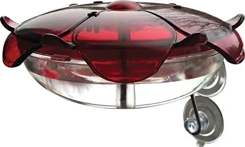 Droll Yankees Ruby Sipper Window Hummingbird Feeder – Red – 5 Oz Cap