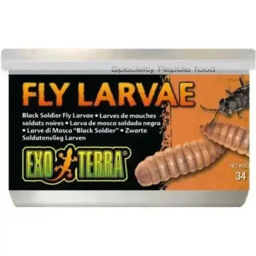 Exo Terra Canned Black Soldier Fly Larvae Specialty Reptile Food