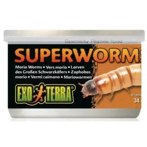 Exo Terra Canned Superworms Specialty Reptile Food