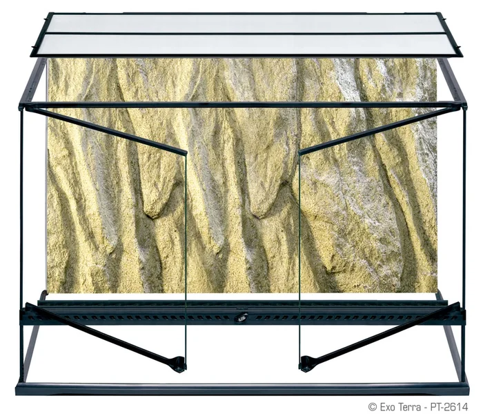 Exo Terra Glass Large Tall Terrarium 36″x18″x24″