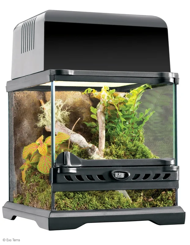 Exo Terra Glass Nano Terrarium 8″x8″x8″