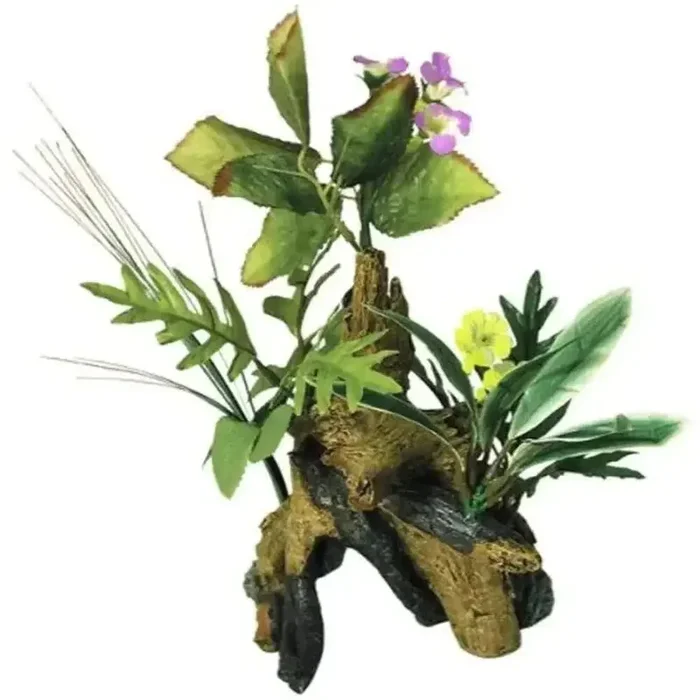 Exotic Environments Chestnut With Plants