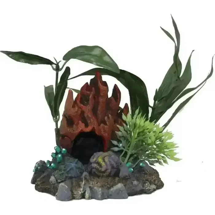 Exotic Environments Fire Coral Cave W-plants