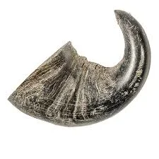 Fetchin Brands Water Buffalo Horn, Medium