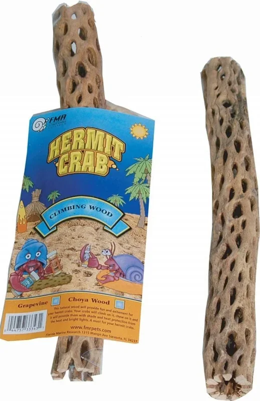 Florida Marine Research Hermit Crab Choya Wood – Brown – Large