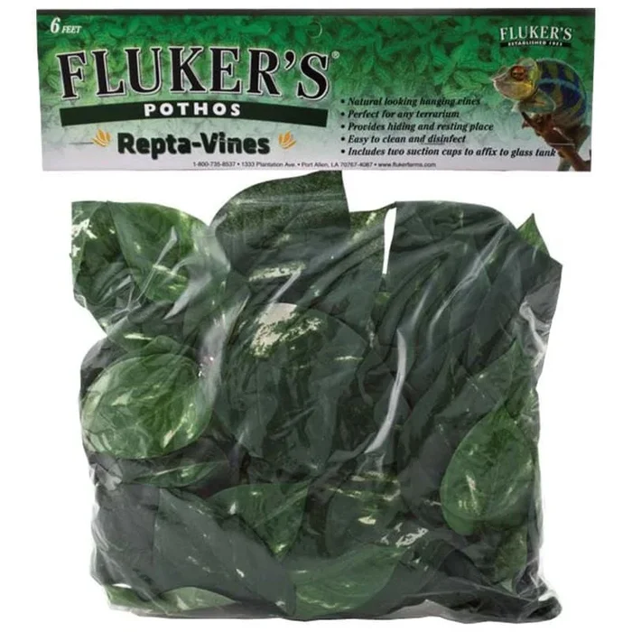 Fluker’s Repta-Vines – Pothos – 6″