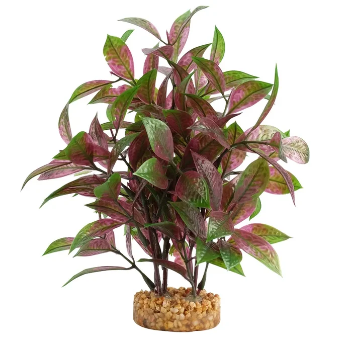 Fluval Broad Leaf Red Ludwigia Plant 8 Inch