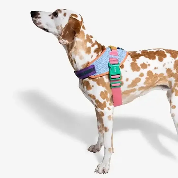 FlyHarness Dog Harness