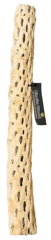 Galapagos Cactus Skeleton Cholla Wood – Brown – 36 in