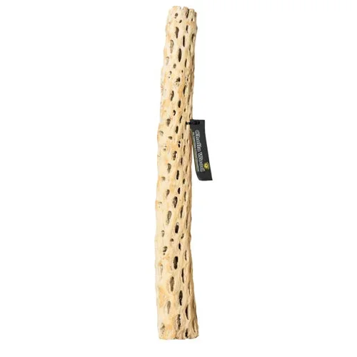 Galapagos, Galapagos Cactus Skeleton Cholla Wood, Brown, 1 Each/36 in