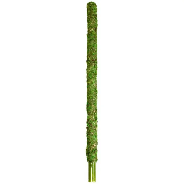 Galapagos, Galapagos Mossy Perch Terrarium Ornament, 1 Each / 24 Inches, Fresh Green