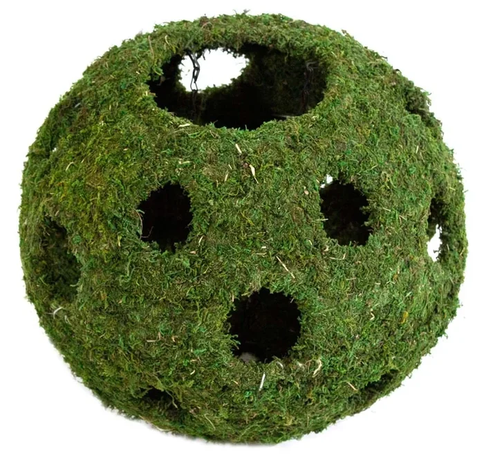 Galapagos Mossy Cave Terrarium Hideaway – Fresh Green – 12 in