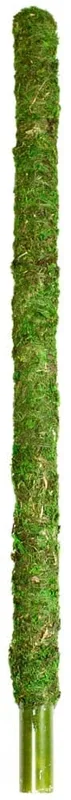 Galapagos Mossy Perch Terrarium Ornament – Fresh Green – 24 in
