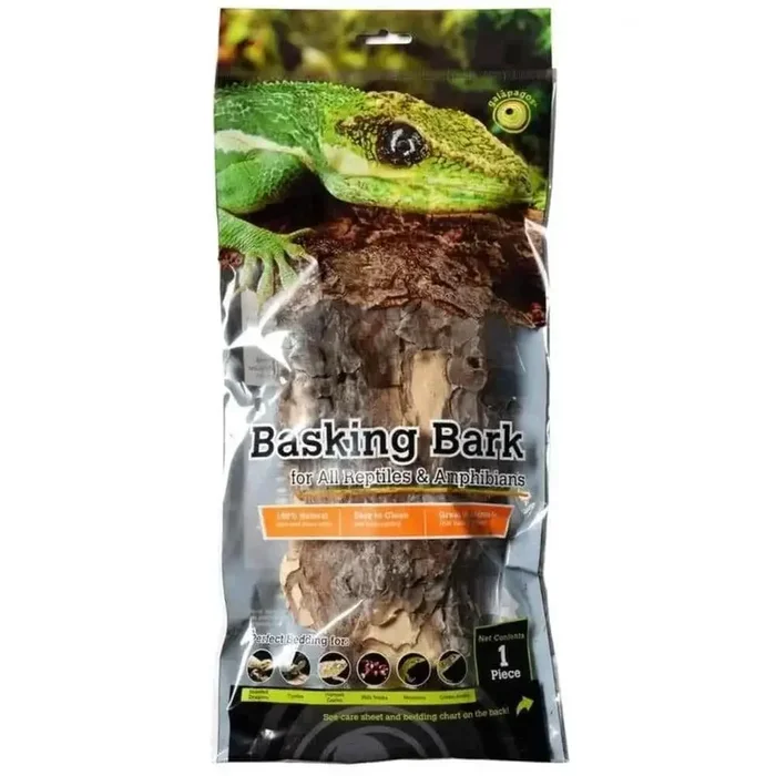 Galapagos Natural Basking Bark Green, Brown 12 In – 15 in