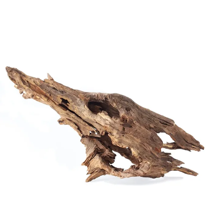 Galapagos Natural Driftwood Hollow Tree Root – 12-16 in