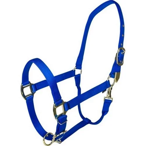 Gatsby, Gatsby Gold Adjustable Halter W/ Snap, COB,Blue